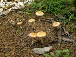 S6309853.JPG