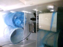 Snapshot_20100928_2.jpg