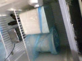 Snapshot_20100928_1.jpg