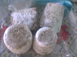 Imag011.jpg