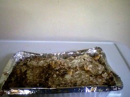 Snapshot_20101001.jpg