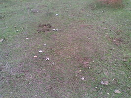 03102010.jpg