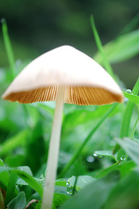 DSC_7077.jpg