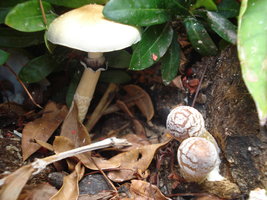 DSC05700.JPG