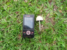 SDC13546 (2).jpg