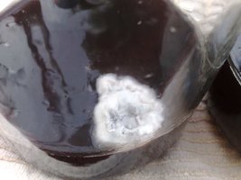 201020101710.jpg