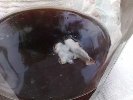 201020101711.jpg
