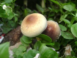 DSC04057.JPG