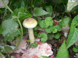 DSC04064.JPG
