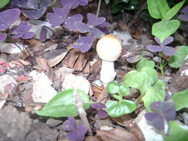 DSC04061.JPG