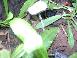DSC04080.JPG
