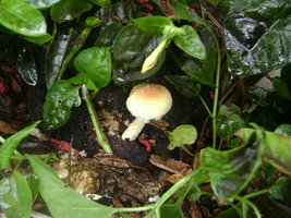 DSC04124.JPG
