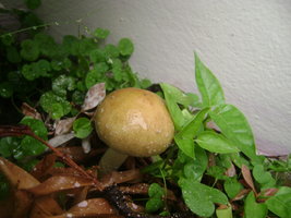 DSC04136.JPG