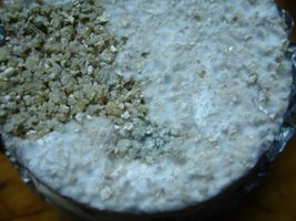 cake trichnoderma.JPG