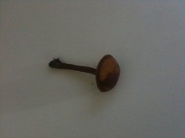 IMG_0180.jpg