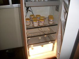 100_0709.JPG