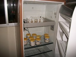 100_0708.JPG 100_0708.JPG