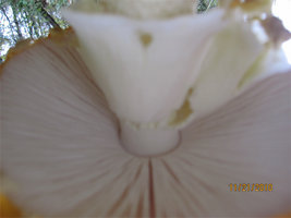 IMG_3543.JPG