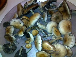 20112010170.jpg