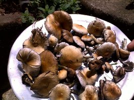 20112010173.jpg