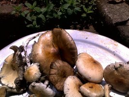 20112010175.jpg