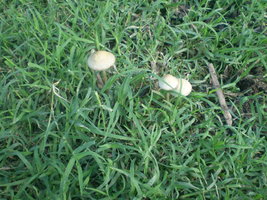 PA160591.JPG