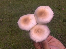 27112010184.jpg