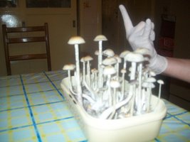 100_5516.JPG
