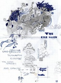 img007.jpg