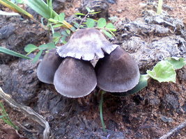 121310101036.jpg