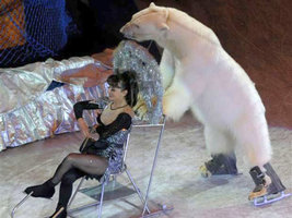 urso_polar.jpg