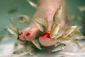 peixepodologo.jpg
