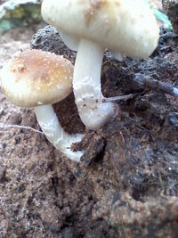 121510142636.jpg