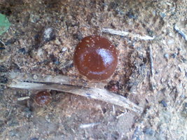 121310183640.jpg