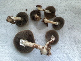 121610182049.jpg