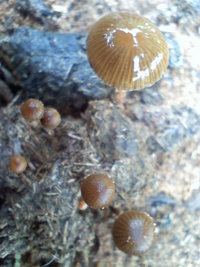 121610151506.jpg