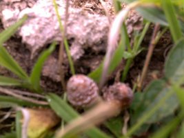 19122010272.jpg