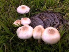 19122010275.jpg