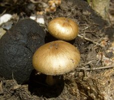 S6302470.JPG