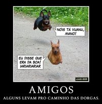 cachorro.jpg