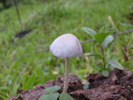 S6302746.JPG S6302746.JPG
