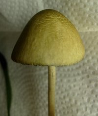S6302665.JPG S6302665.JPG