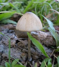 S6302658.JPG S6302658.JPG