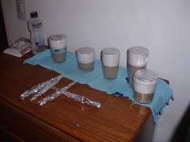 GEDC2035.JPG