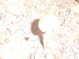 DSC00359.JPG