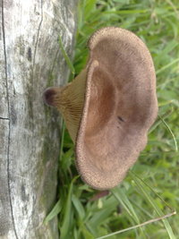 21012011265.jpg