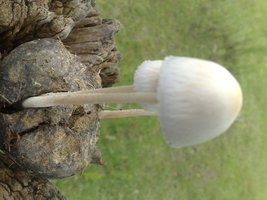 21012011244.jpg