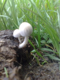 21012011251.jpg
