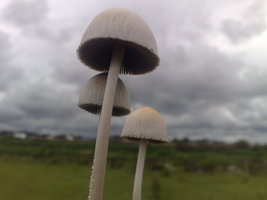 21012011243.jpg