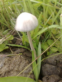 21012011270.jpg